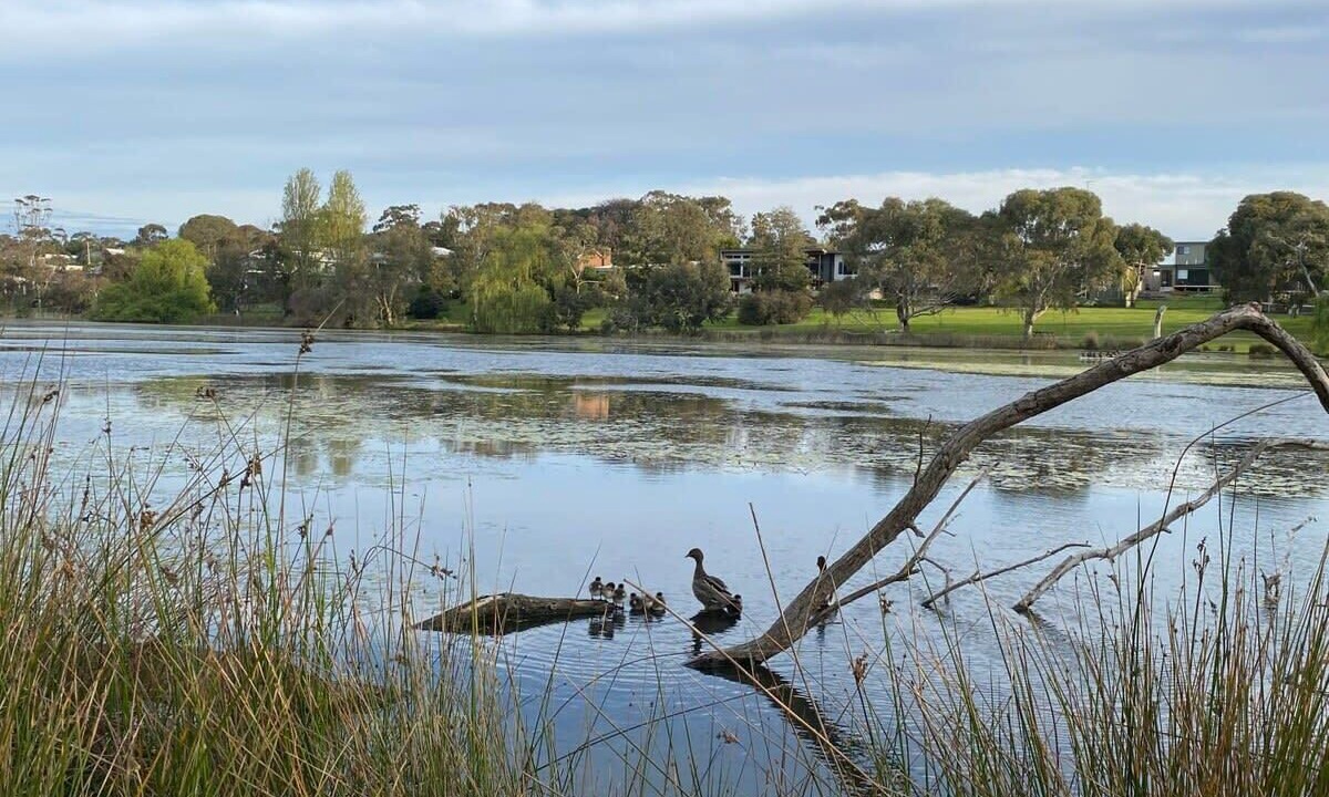 Photo of Outdoor in Ocean Grove