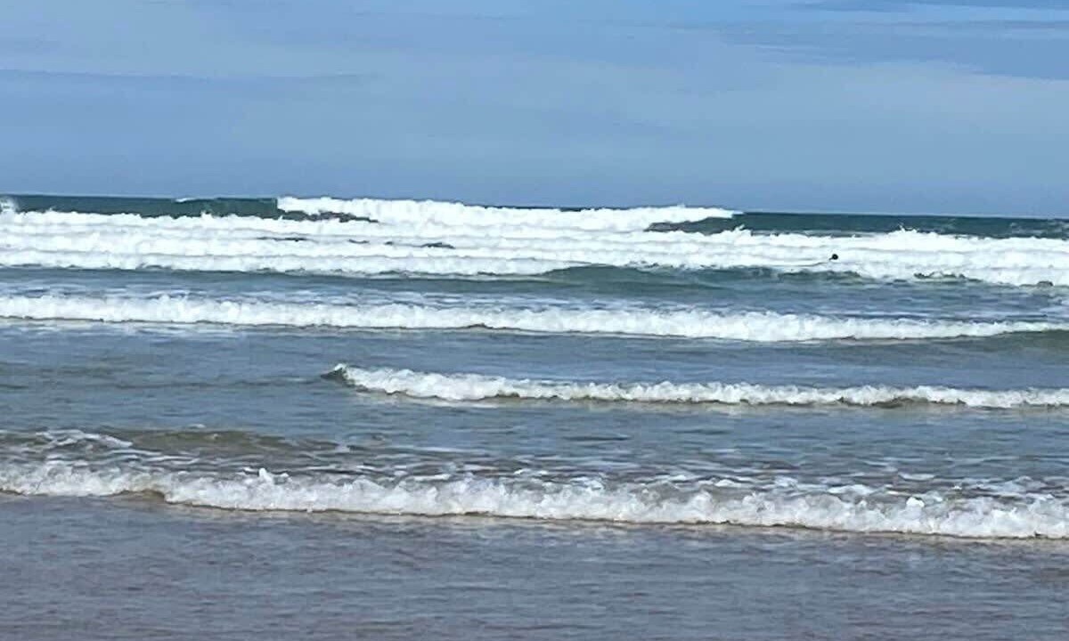 Photo of Others in Ocean Grove