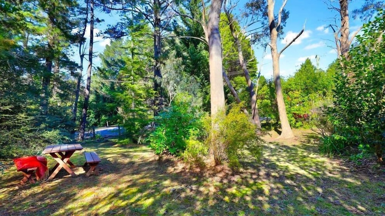 Photo of Outdoor in Leura