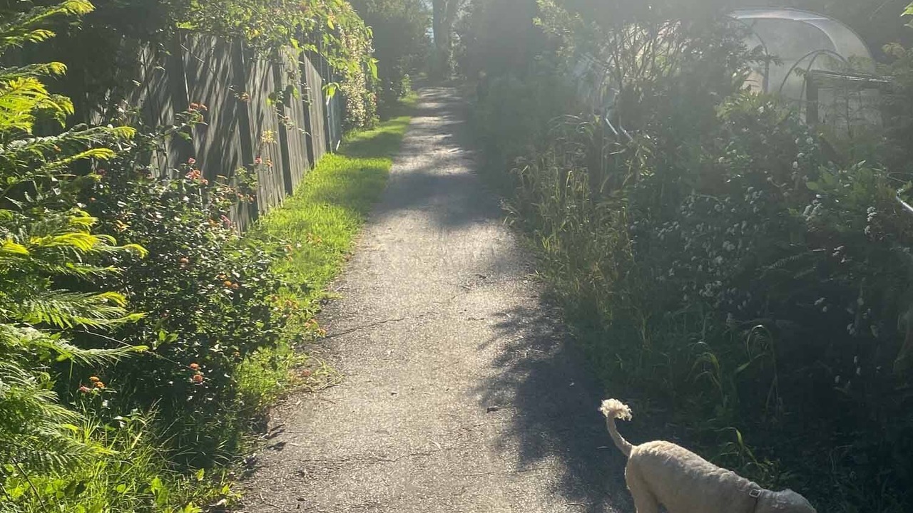 Photo of Outdoor in Bar Point
