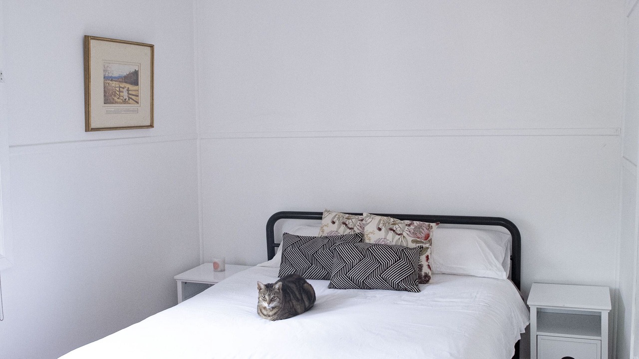Photo of Bedroom in Bar Point