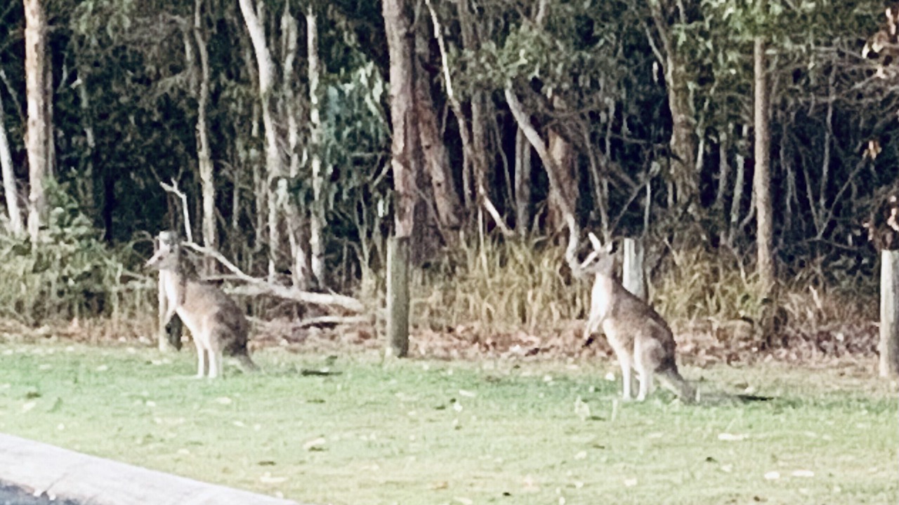 Photo of Others in Sandstone Point