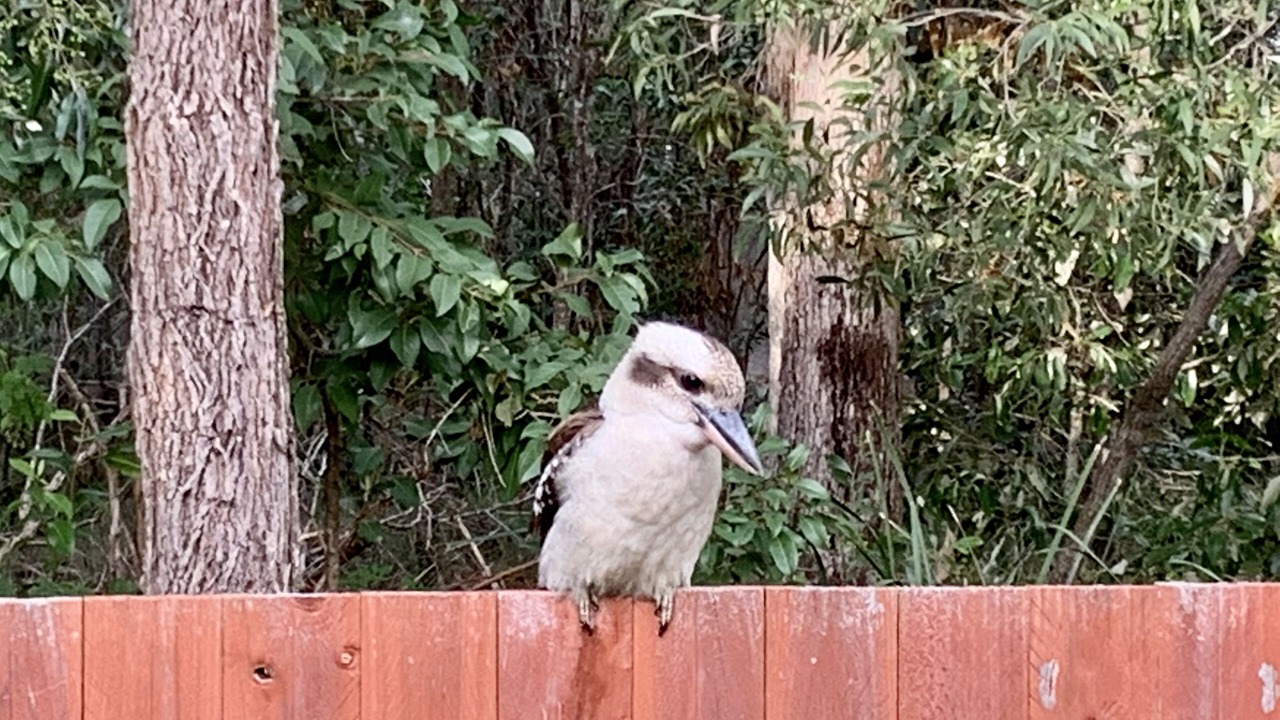 Photo of Others in Sandstone Point