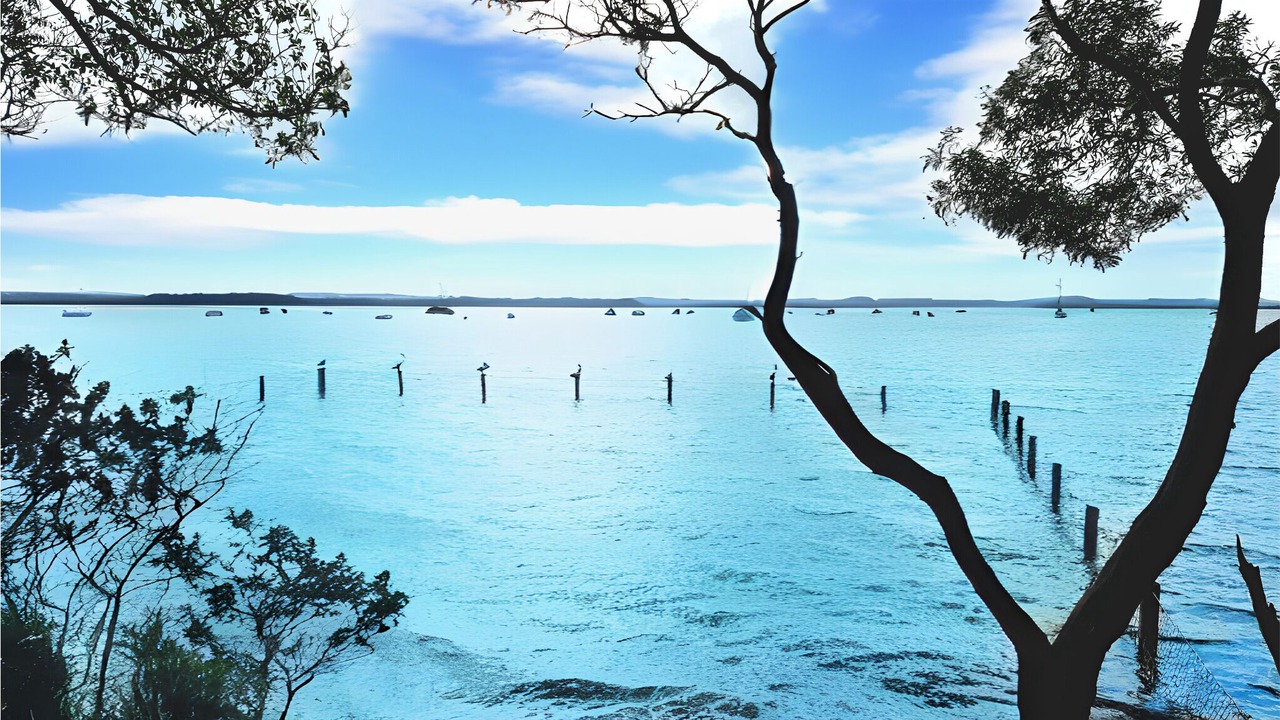 Photo of Others in Redland Bay