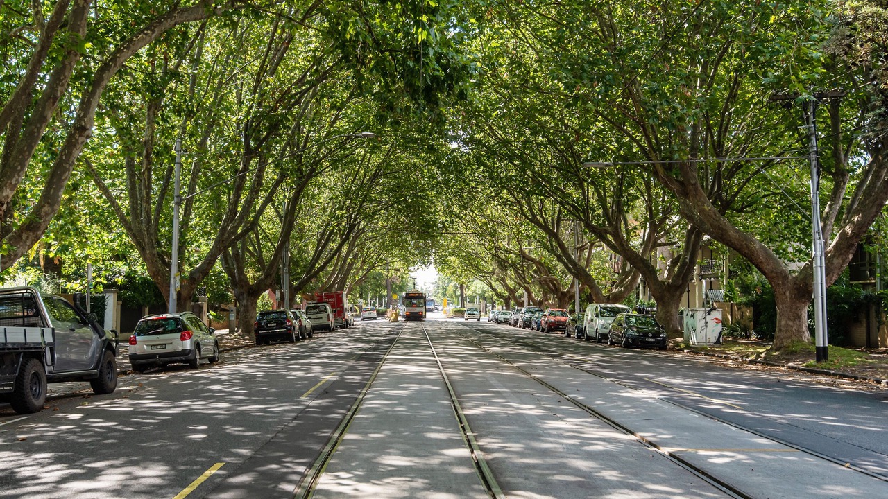 Photo of Others in St Kilda West