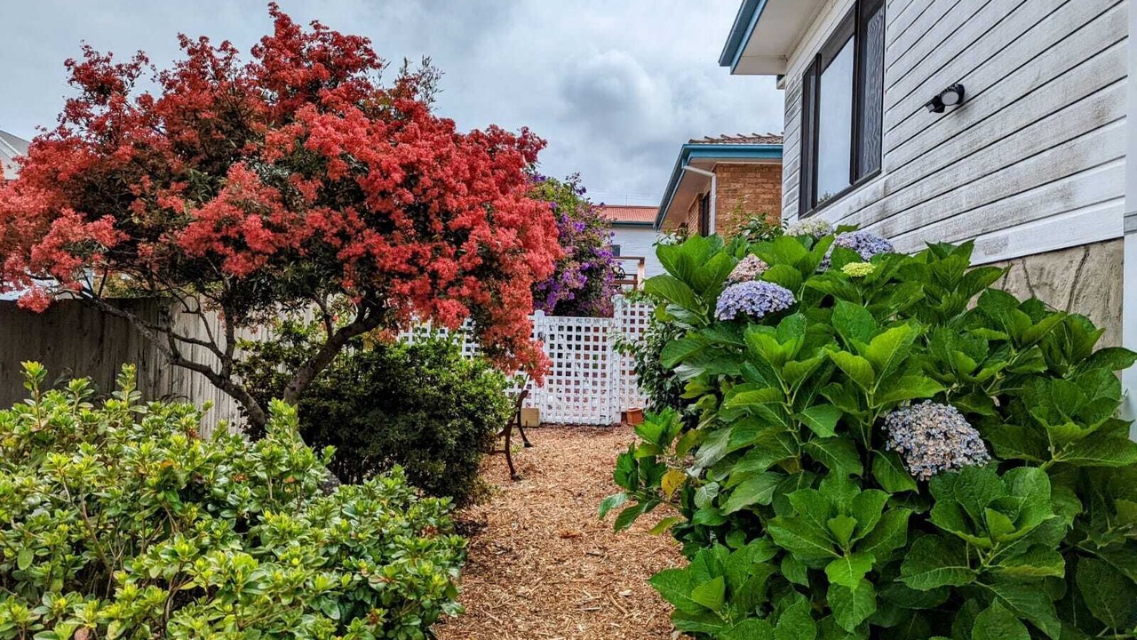 Photo of Outdoor in Eden