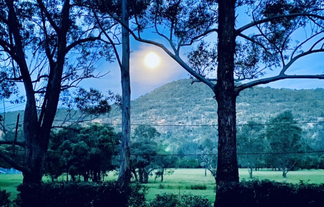 Photo of Outdoor in Wisemans Ferry