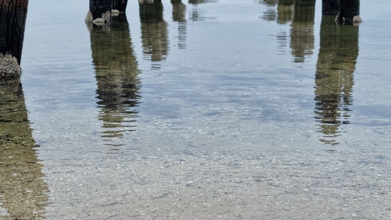 Photo of Others in Clifton Springs