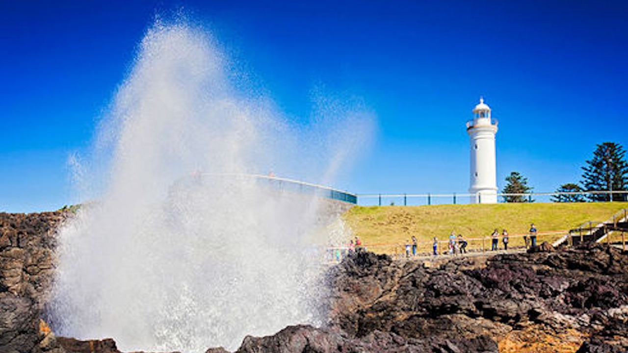Photo of Others in Kiama