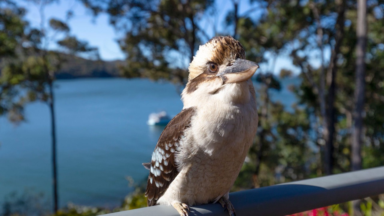 Photo of Others in North Arm Cove