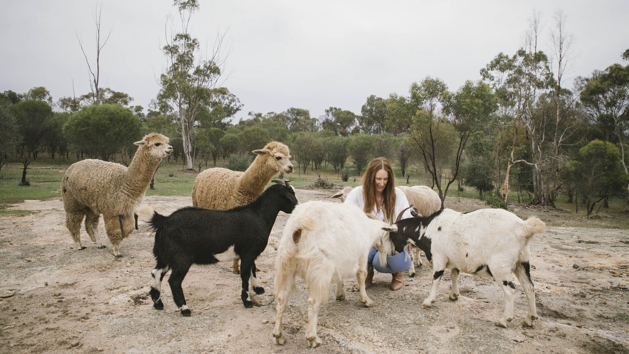 Photo of Others in Talbot