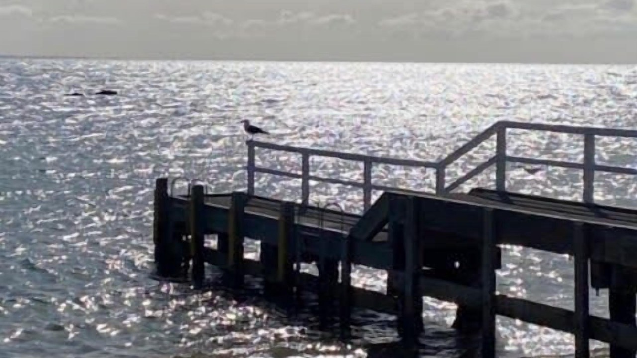 Photo of Others in Portarlington