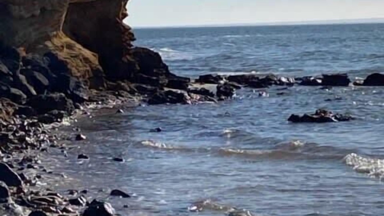 Photo of Others in Portarlington