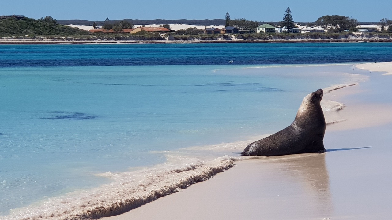 Photo of Others in Lancelin