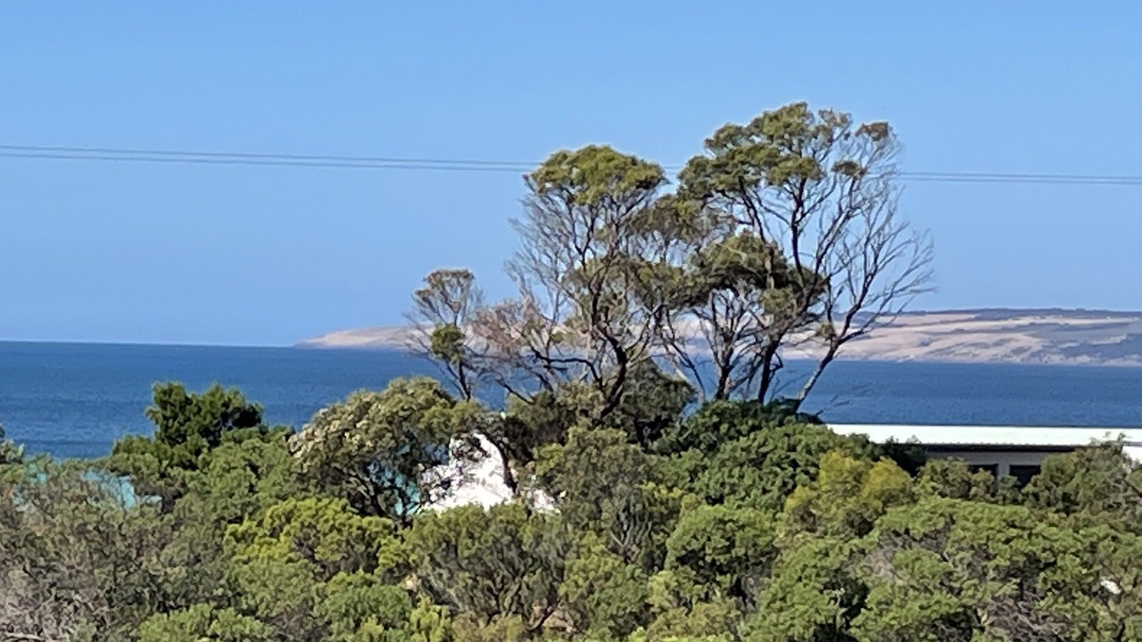 Photo of Others in Island Beach