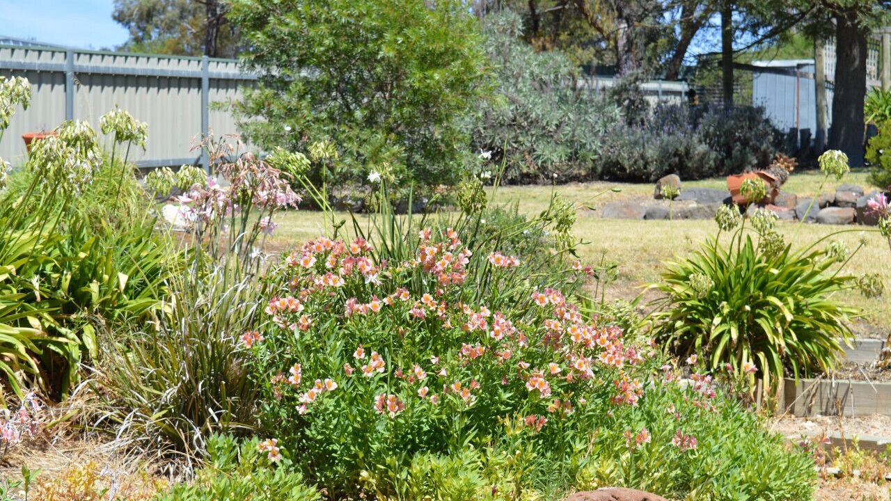 Photo of Outdoor in Ararat