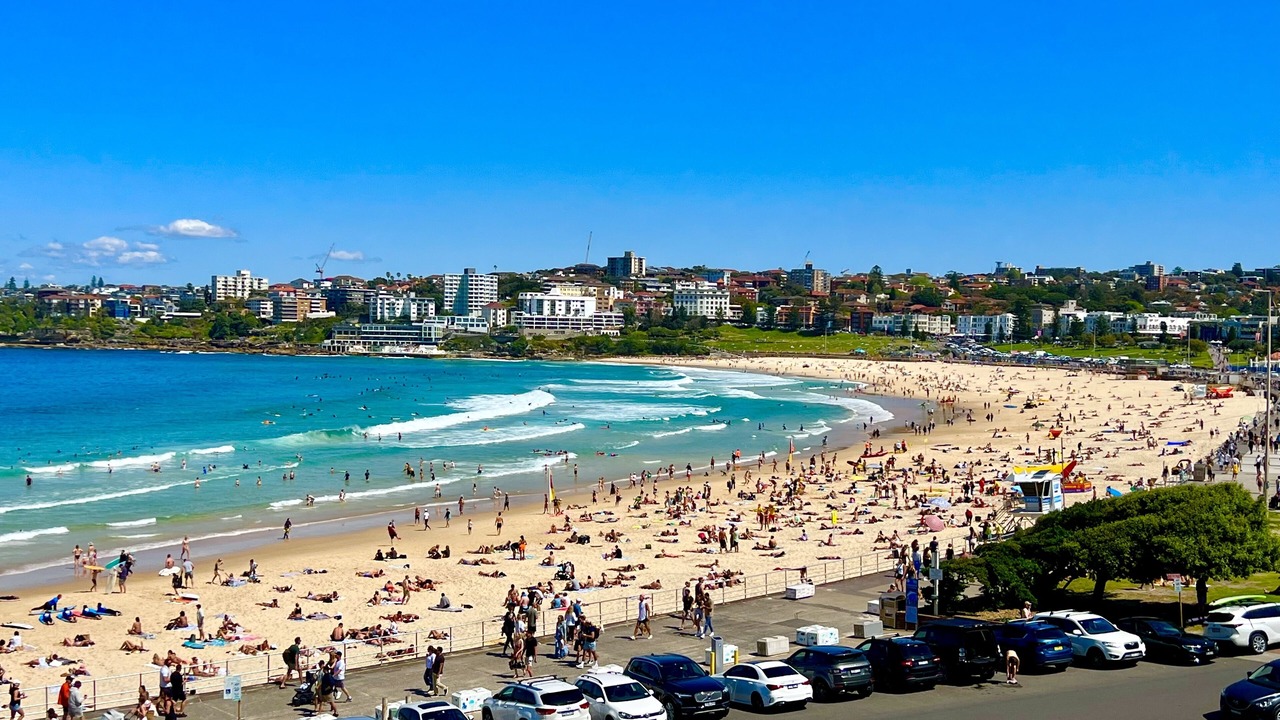 Photo of Others in North Bondi