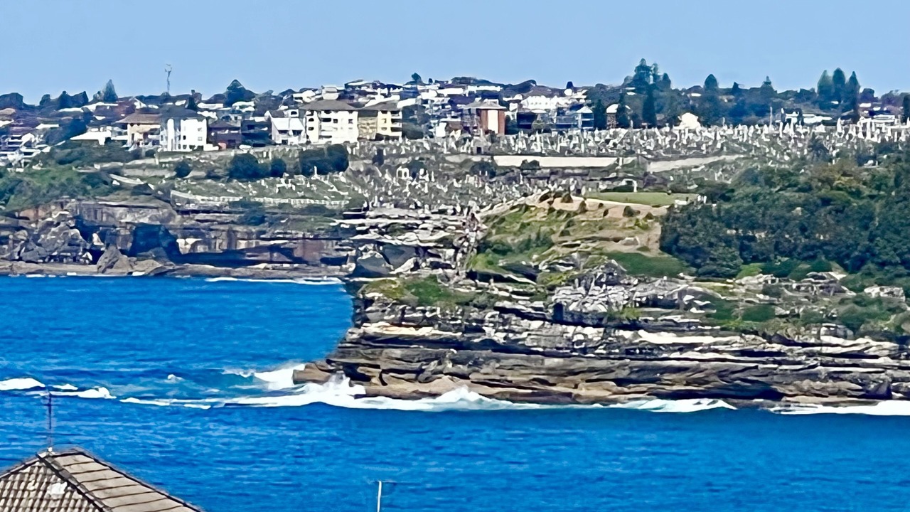 Photo of Others in North Bondi