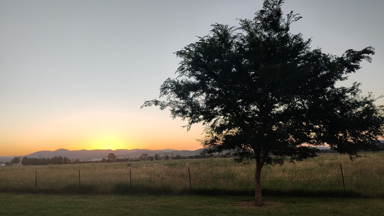 Photo of Outdoor in Gulgong
