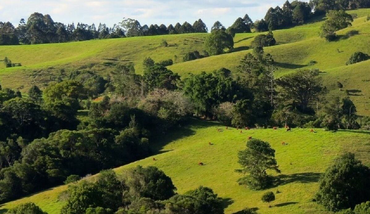 Photo of Others in Montville