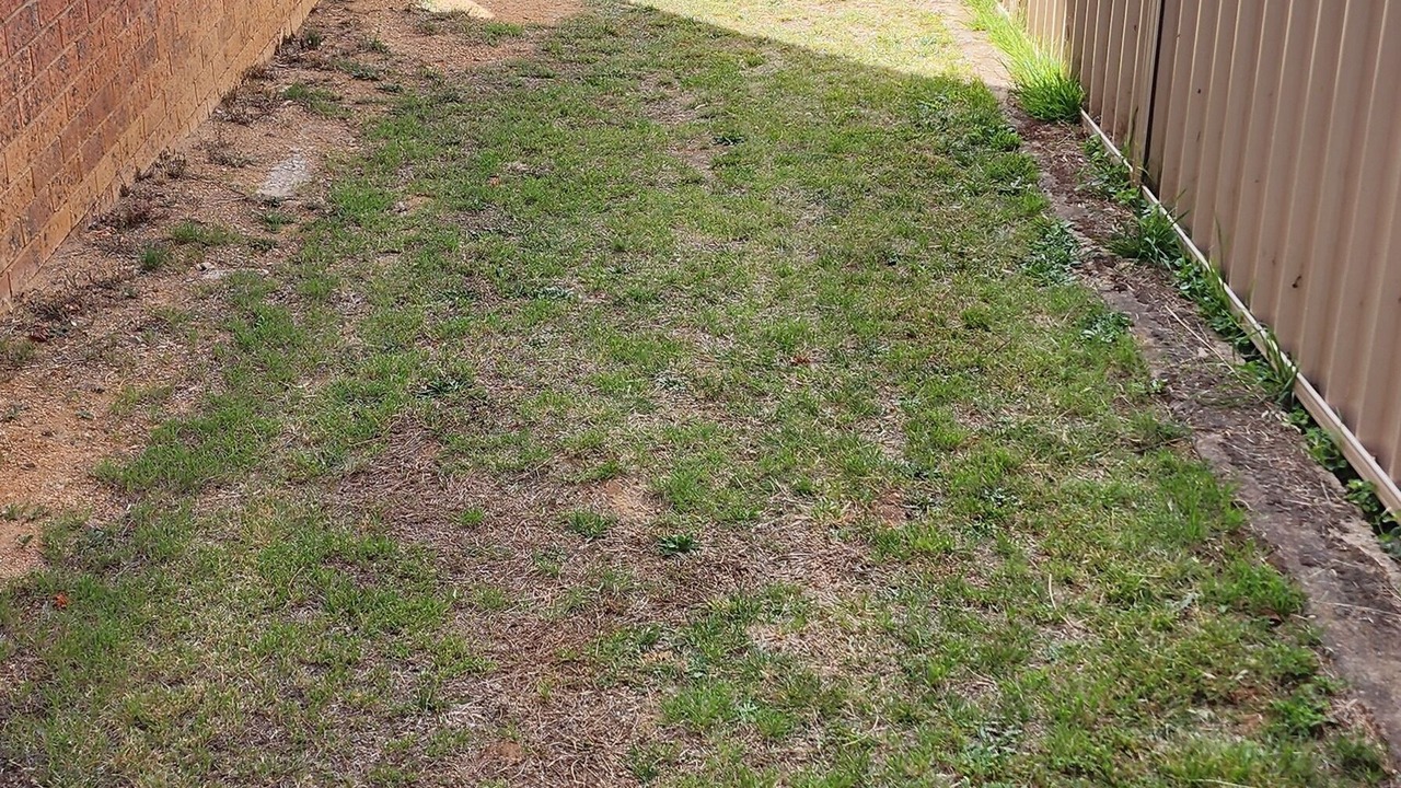 Photo of Outdoor in Cooma