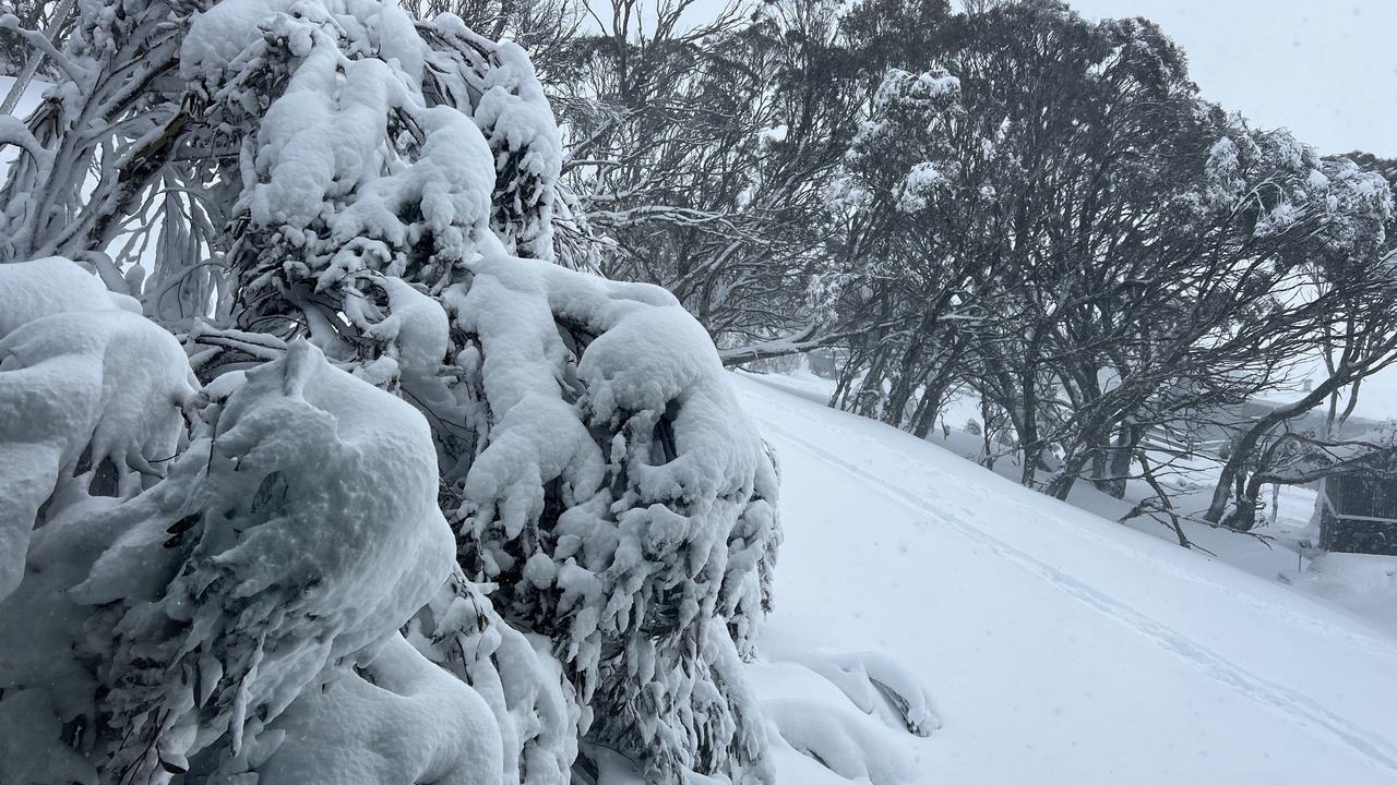 Photo of Others in Perisher Valley