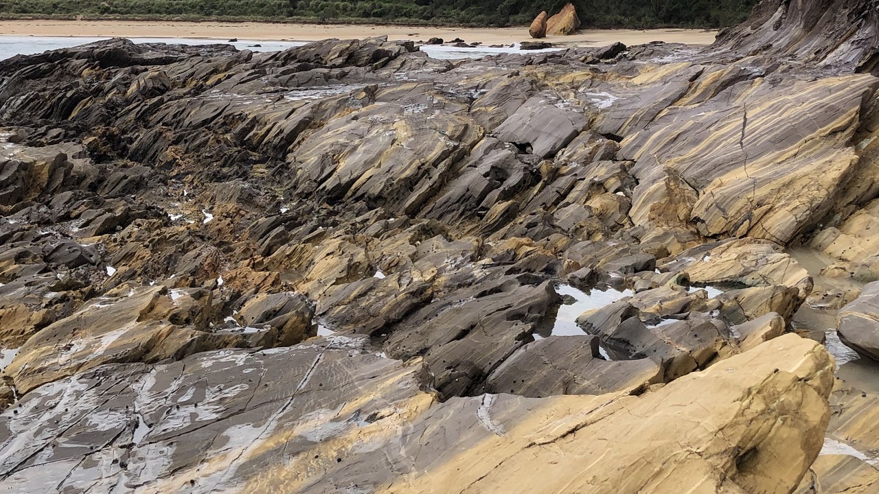 Photo of Others in Maloneys Beach
