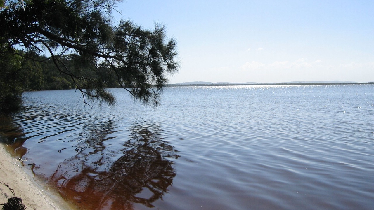 Photo of Others in Wooloweyah