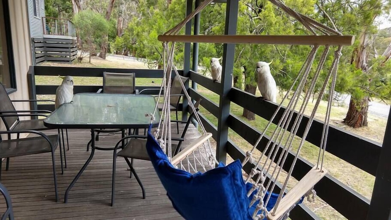 Photo of Outdoor in Halls Gap