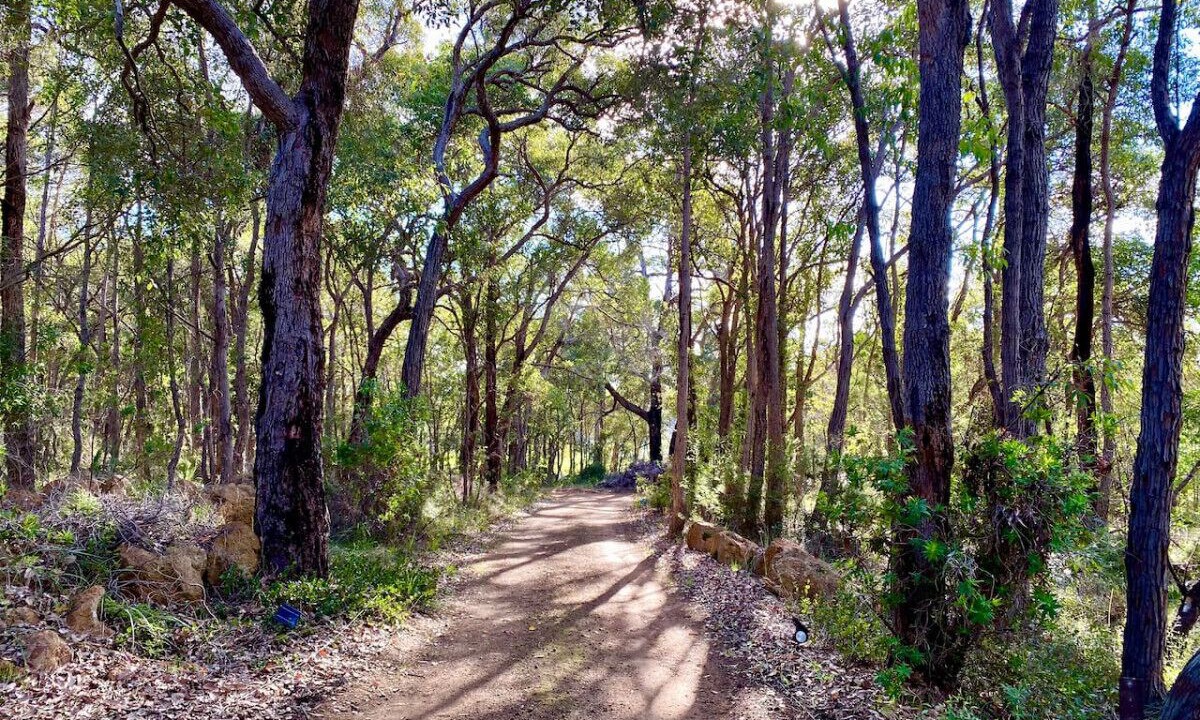 Photo of Others in Porongurup