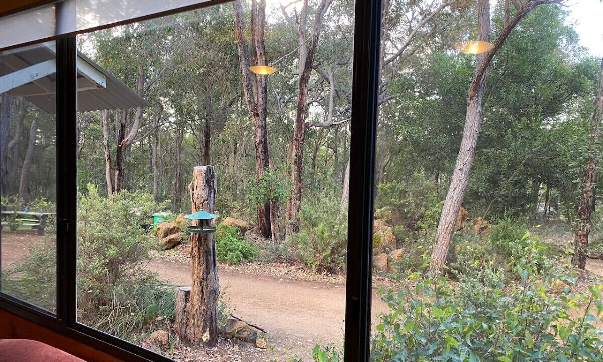 Photo of Others in Porongurup