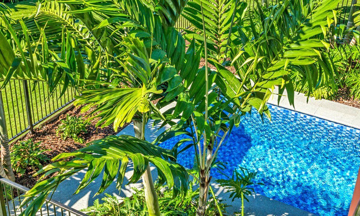 Photo of Outdoor in Airlie Beach