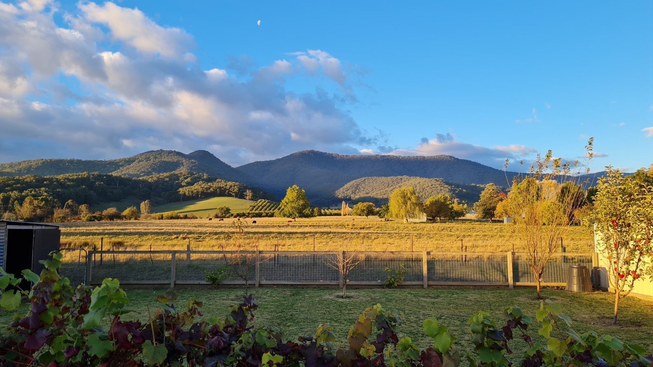Photo of Outdoor in Porepunkah