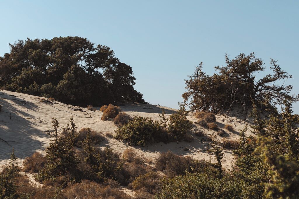 Photo of Others in Naxos