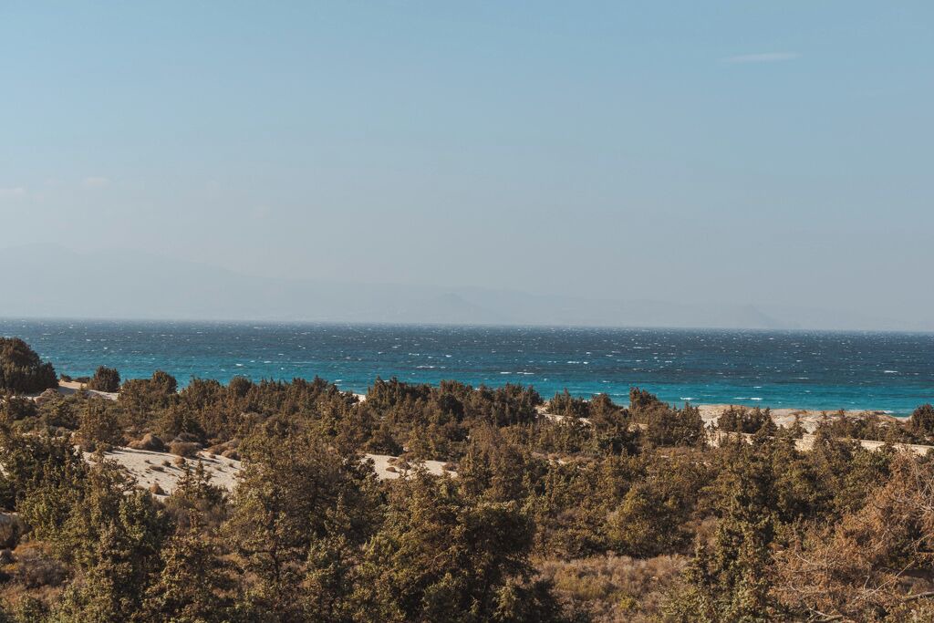 Photo of Others in Naxos