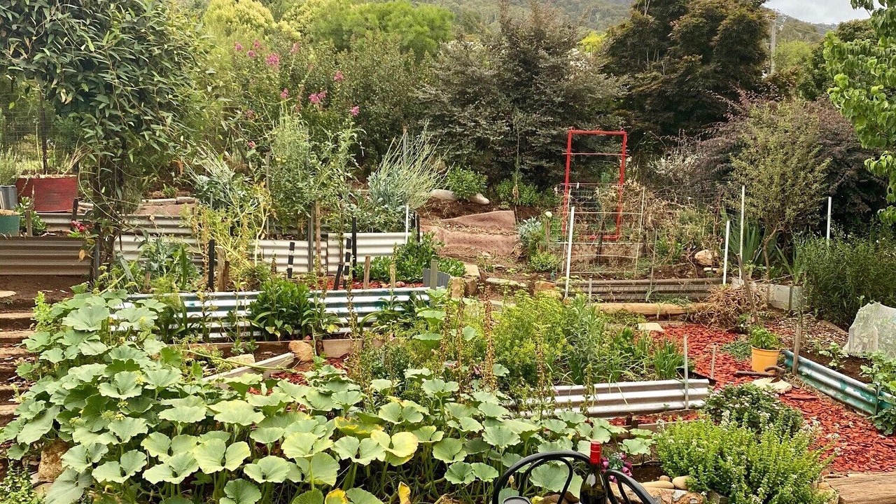 Photo of Outdoor in Tawonga