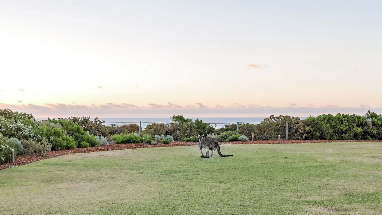 Photo of Others in Gracetown