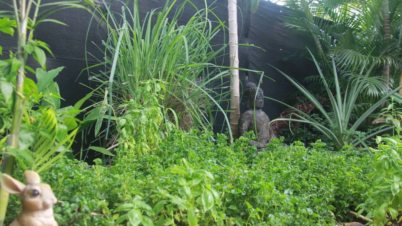Photo of Outdoor in Alawa