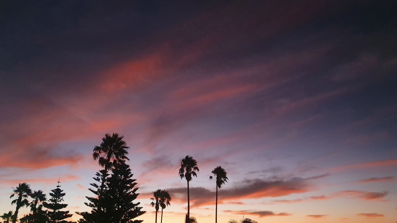 Photo of Others in Semaphore