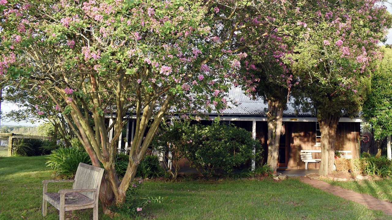 Photo of Outdoor in Pitt Town