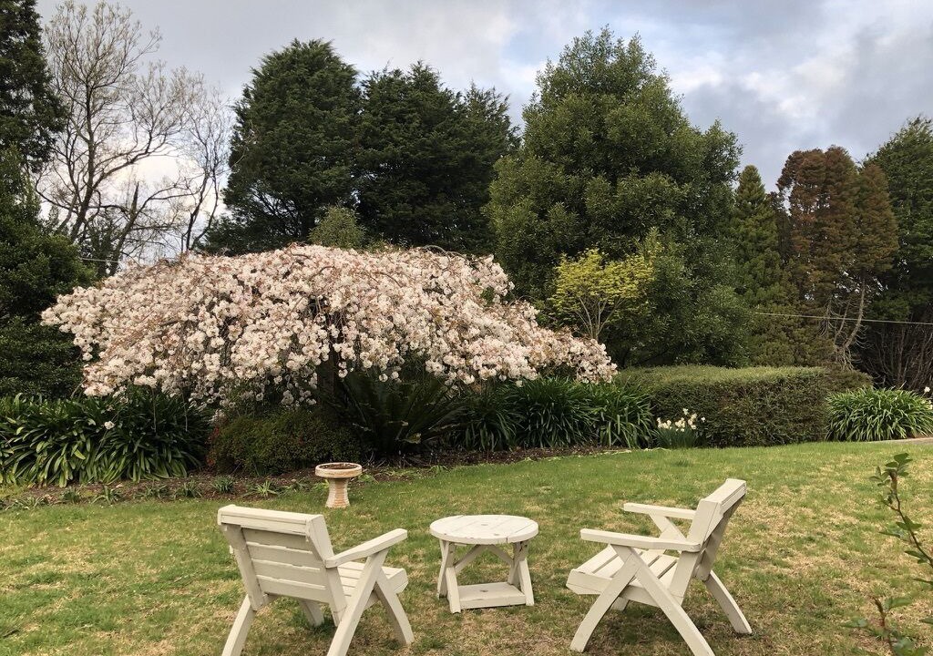 Photo of Outdoor in Robertson