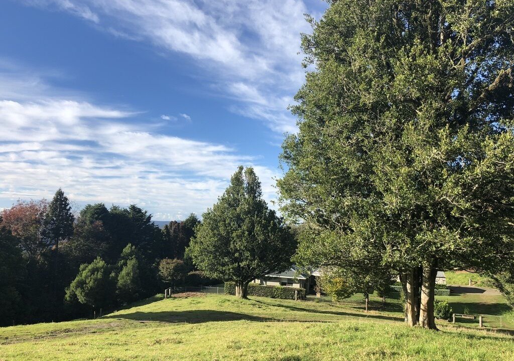 Photo of Outdoor in Robertson