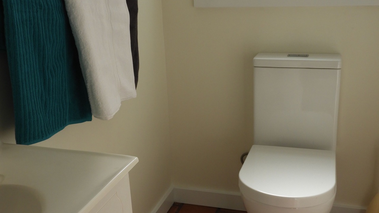 Photo of Bathroom in Earlwood