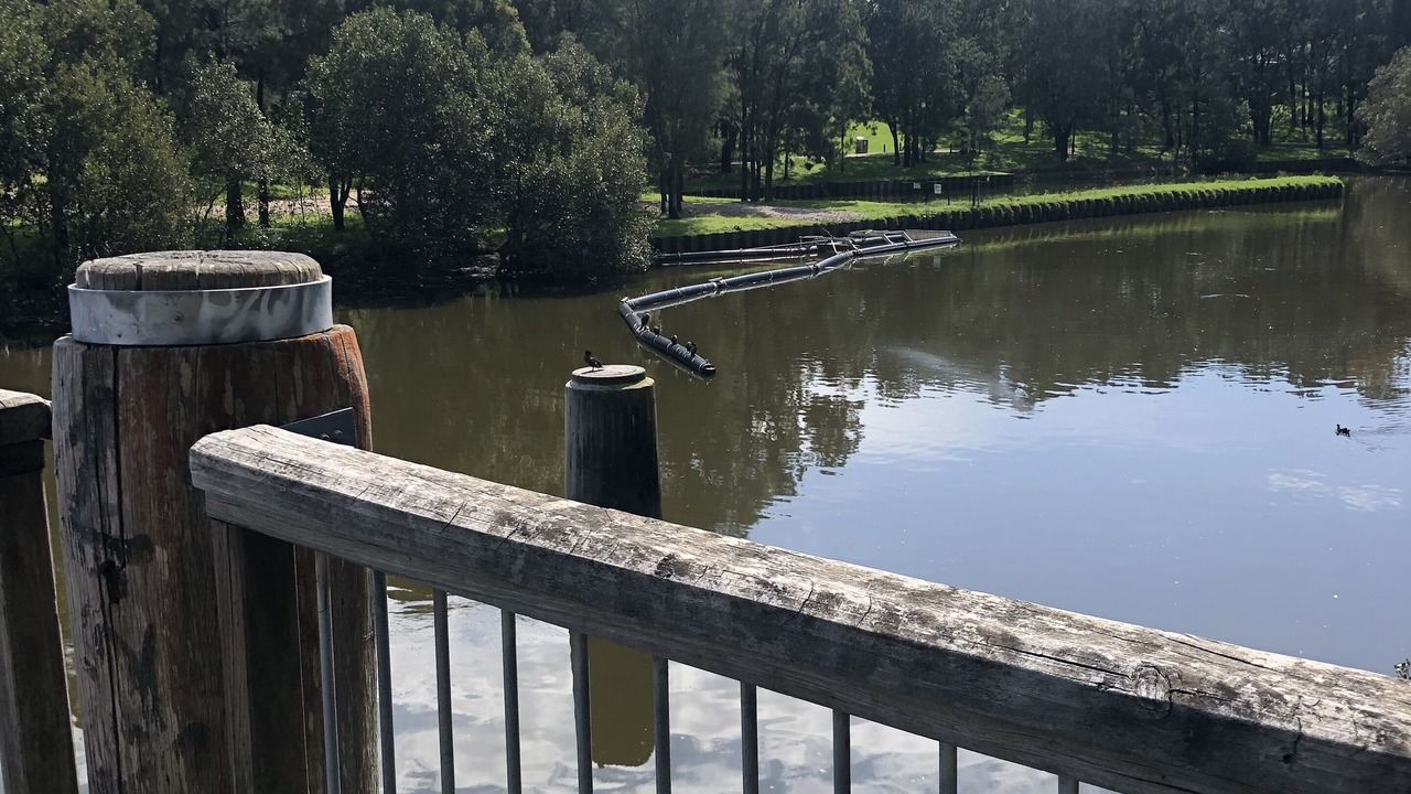 Photo of Outdoor in Earlwood