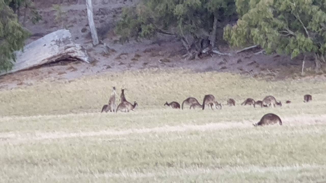 Photo of Others in Australind