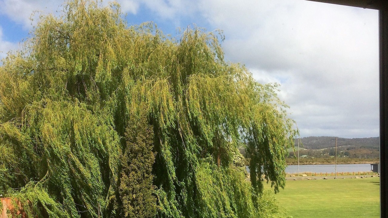 Photo of Outdoor in Franklin