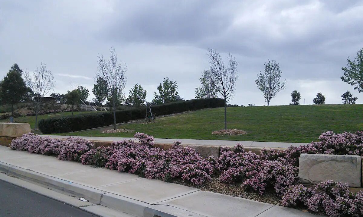 Photo of Outdoor in Campbelltown