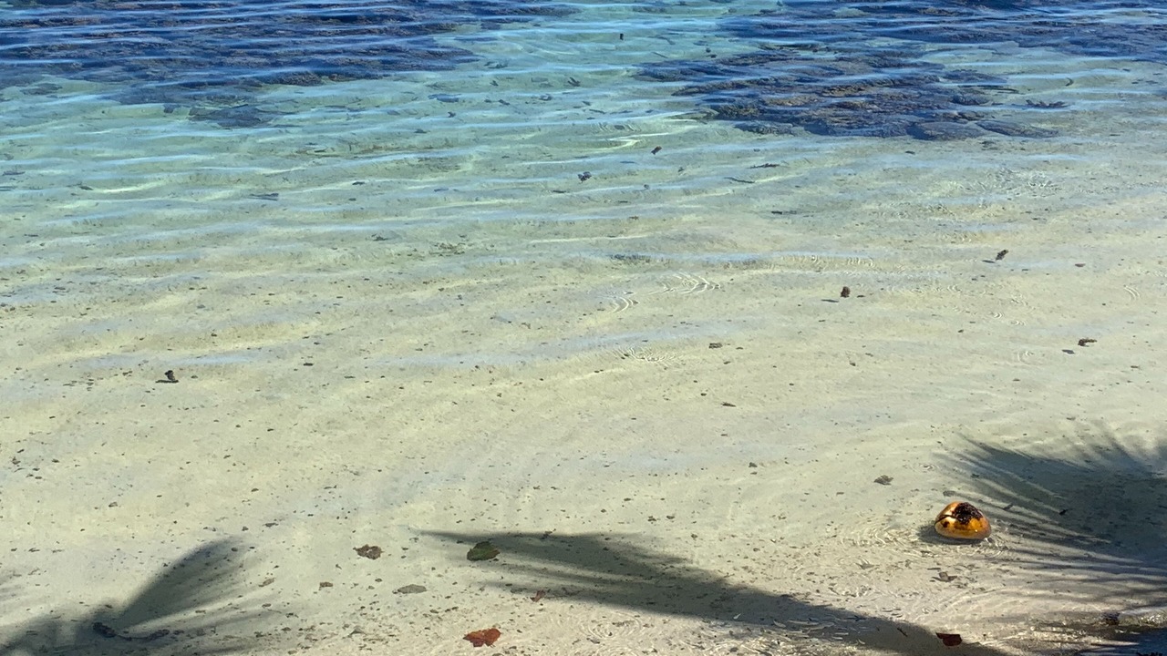 Photo of Others in Pihaena