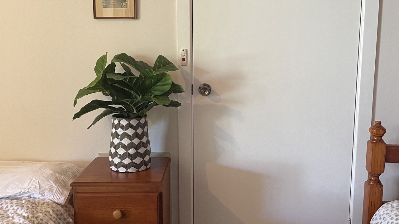 Photo of Bedroom in East Tamworth