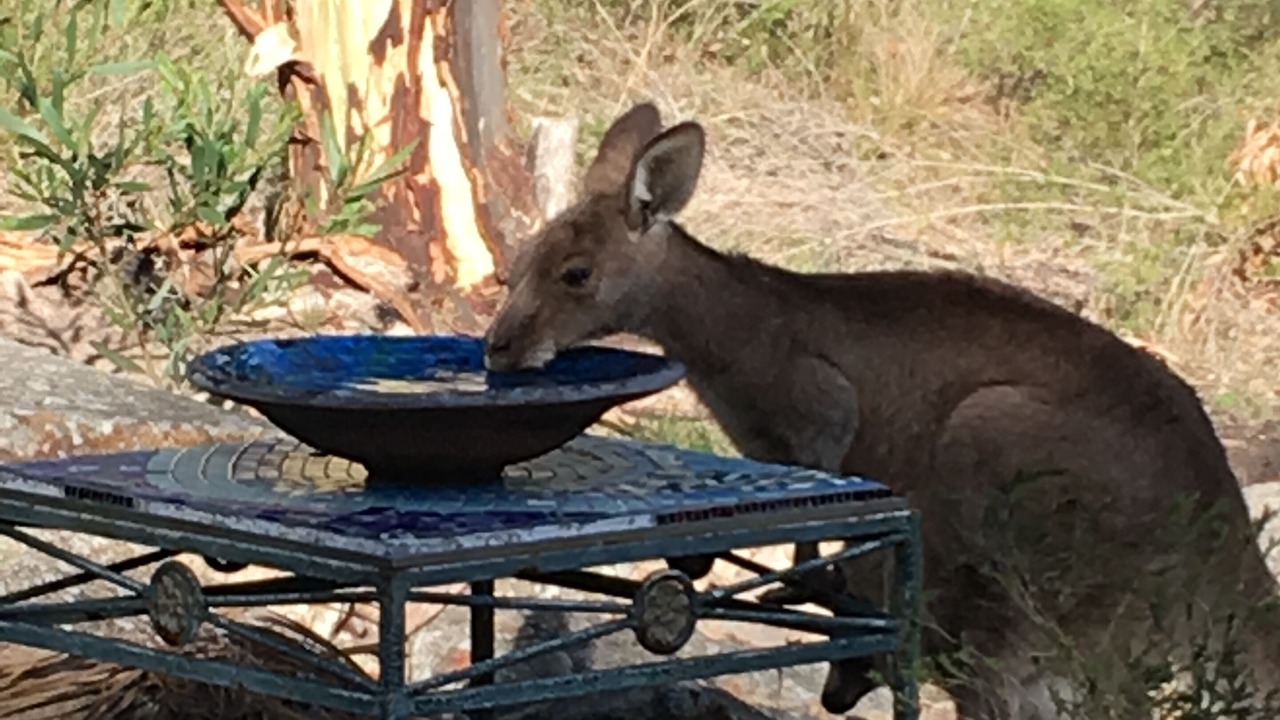 Photo of Outdoor in Vacy